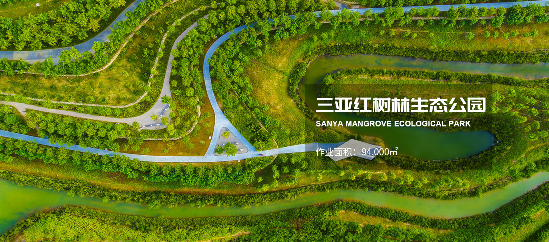 紅樹林生態公園